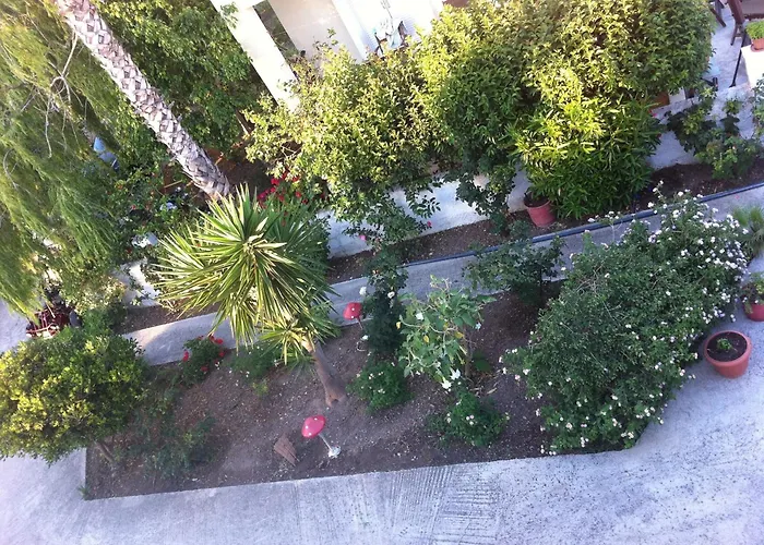 Manine * Lambi (Kos)